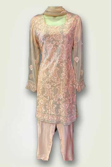 Pakistani Light Pink Embroidery Women Outfit