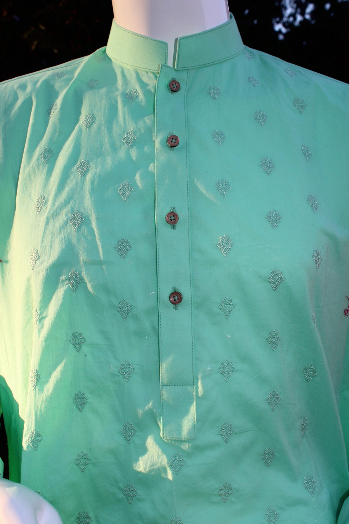 Pakistani Soft Green Men Outfit