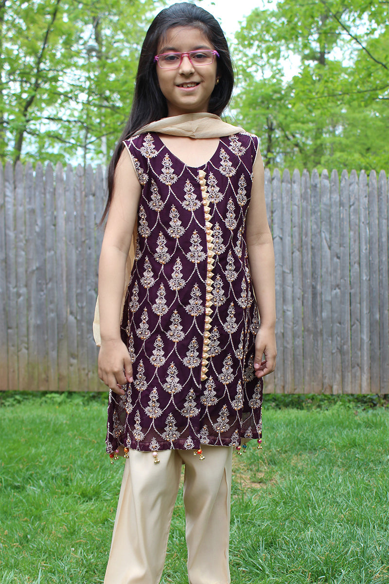 Pakistani Embellished Chiffon Purple Kids Dress