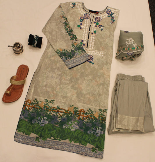 Pakistani Silver Spring Outfit